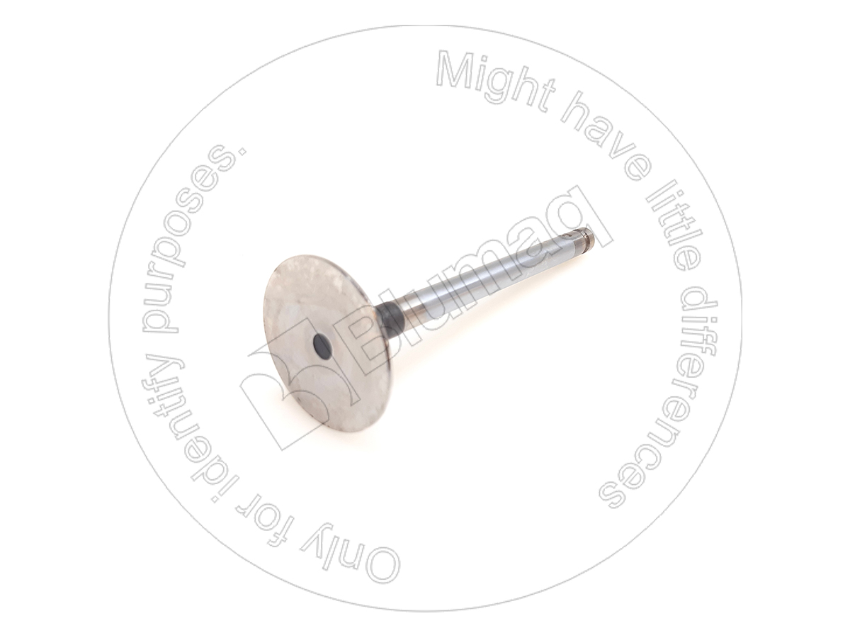 145-6855 Intake Valve for BLUMAQ