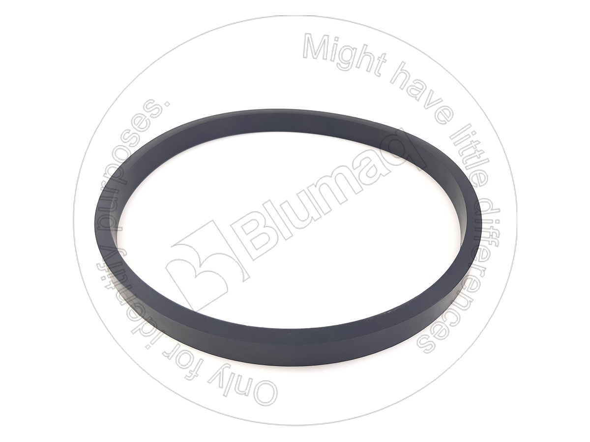 2P-1625 Seal for BLUMAQ
