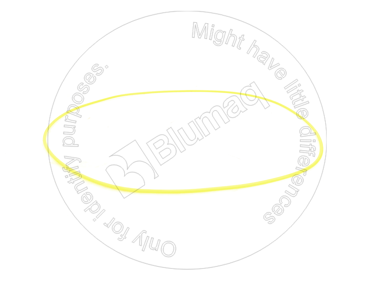 8S-6251 Seal O-ring for BLUMAQ