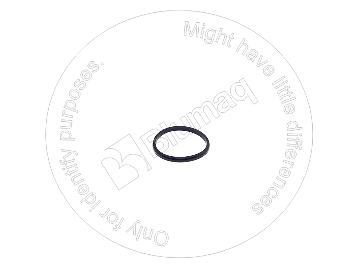 1P-3707 Seal for BLUMAQ