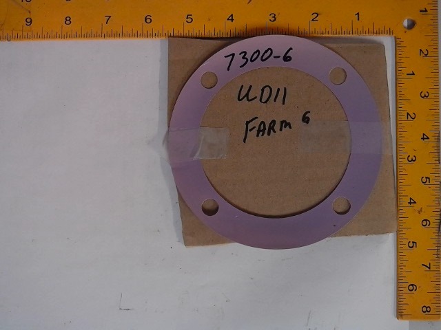 7300-6 AGCO Shim-blue