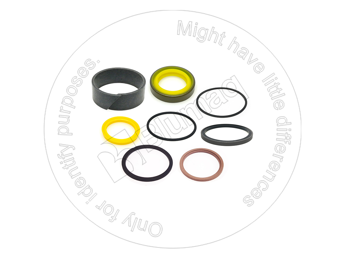 675380 Hydraulic Seal Kit for BLUMAQ