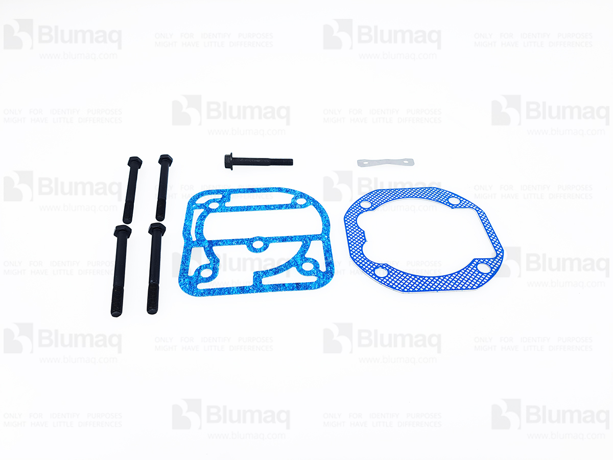 0069071 Gasket Kit for BLUMAQ