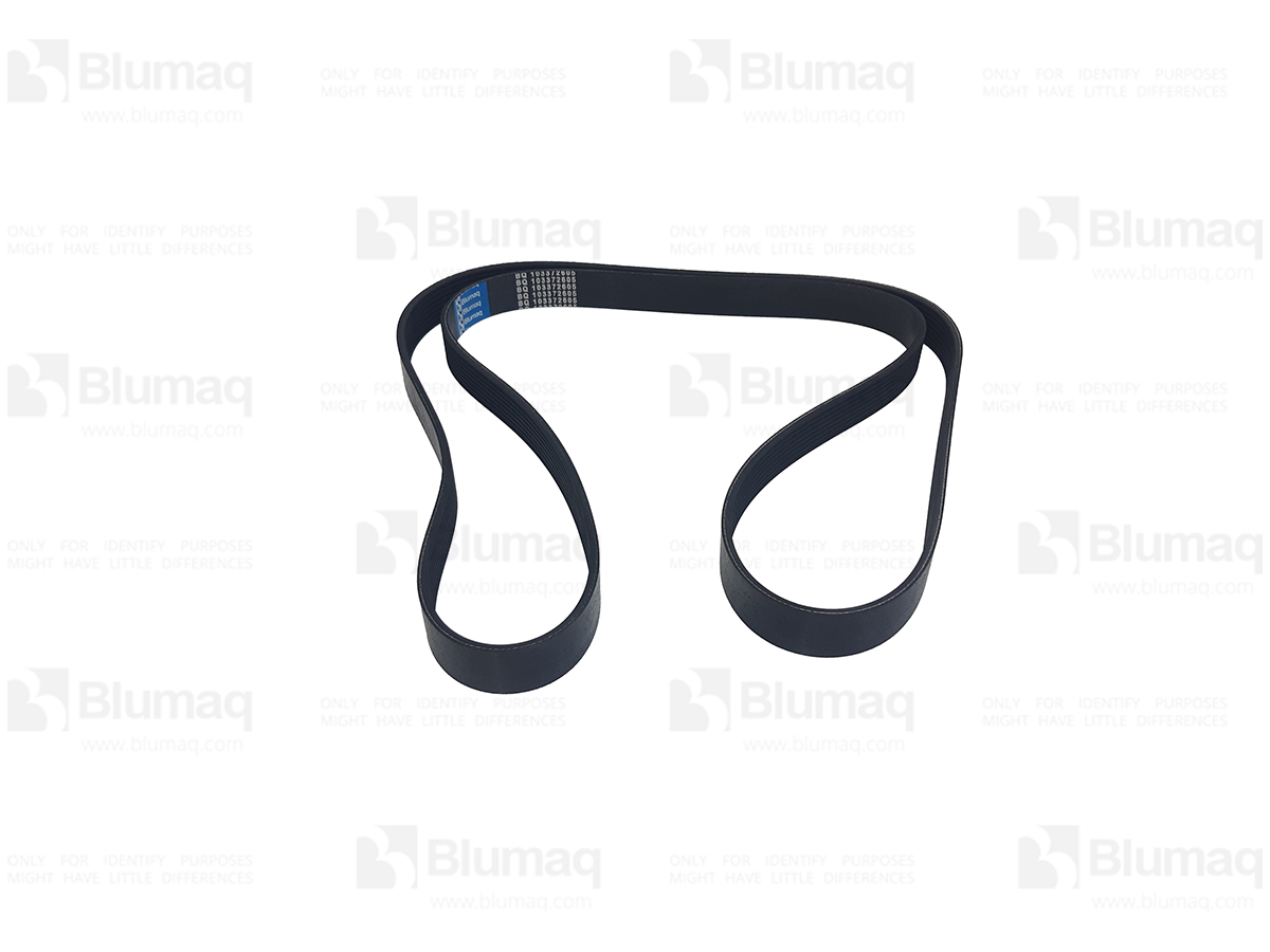 220-1856 Belt for BLUMAQ