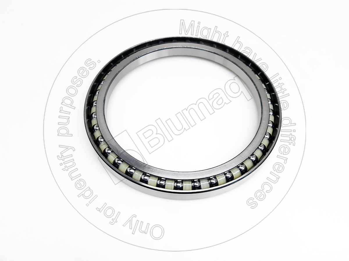 TZ200B1021-00 Bearing for BLUMAQ