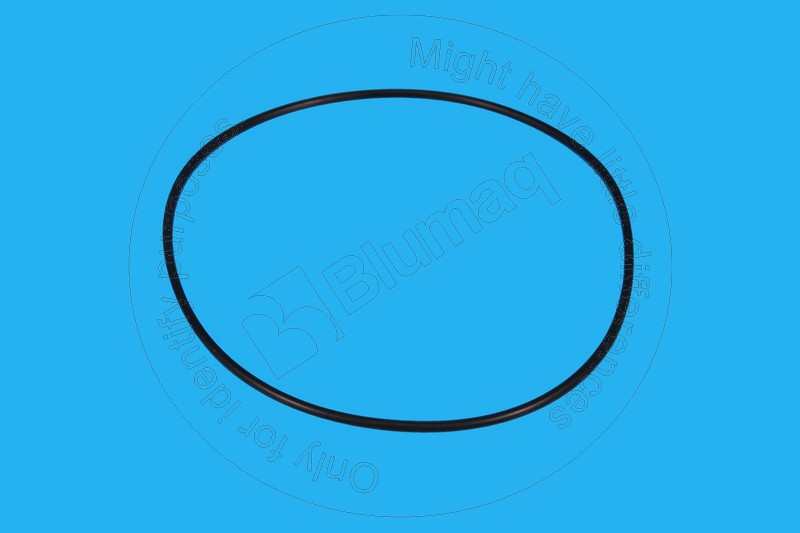 900.01936 Seal O-ring for BLUMAQ