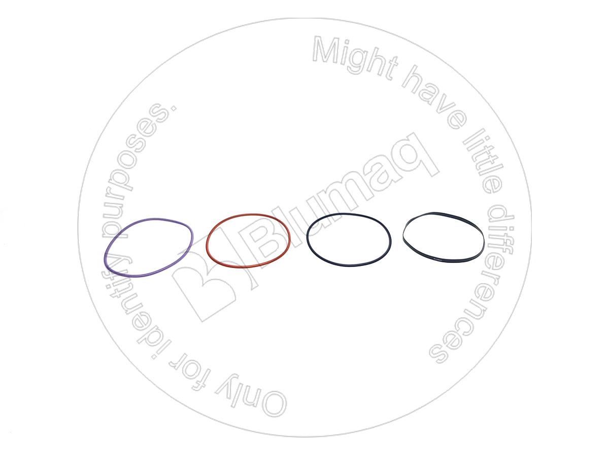 437-2010 Seal Kit