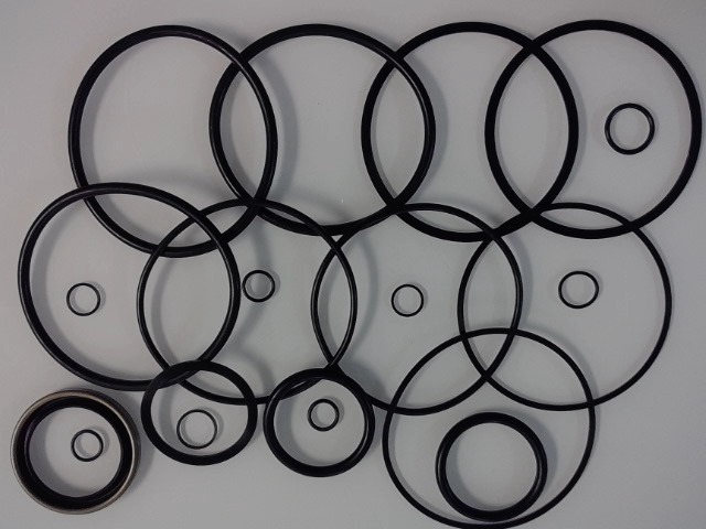 837823M91 Seal Kit for AGCO