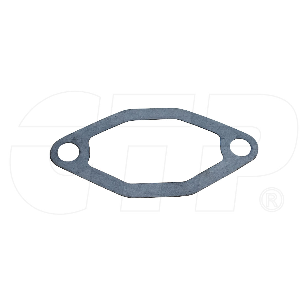 2M4810 Gasket-ctp