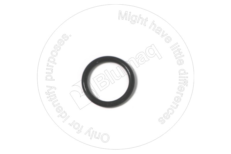 890001490 Seal O-ring for BLUMAQ