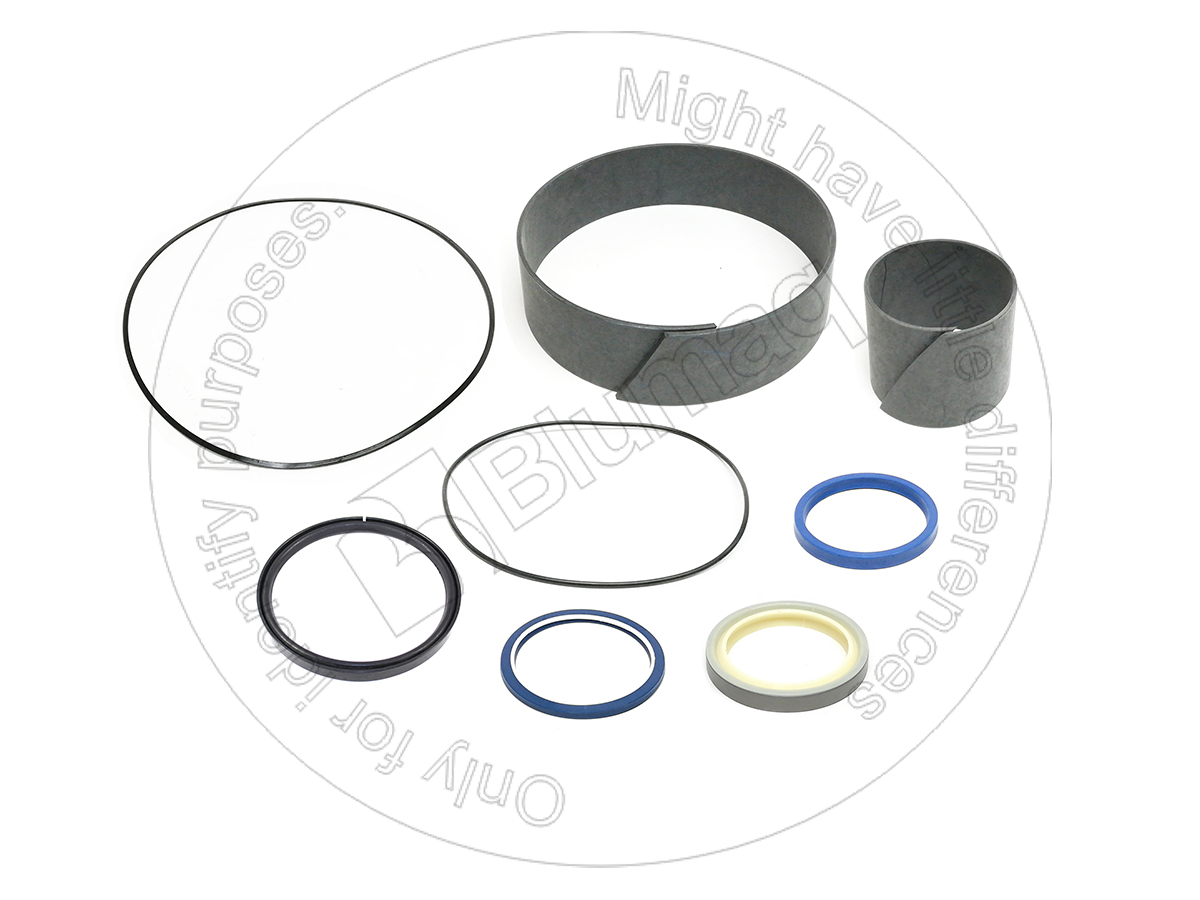8T1379 Seal Kit