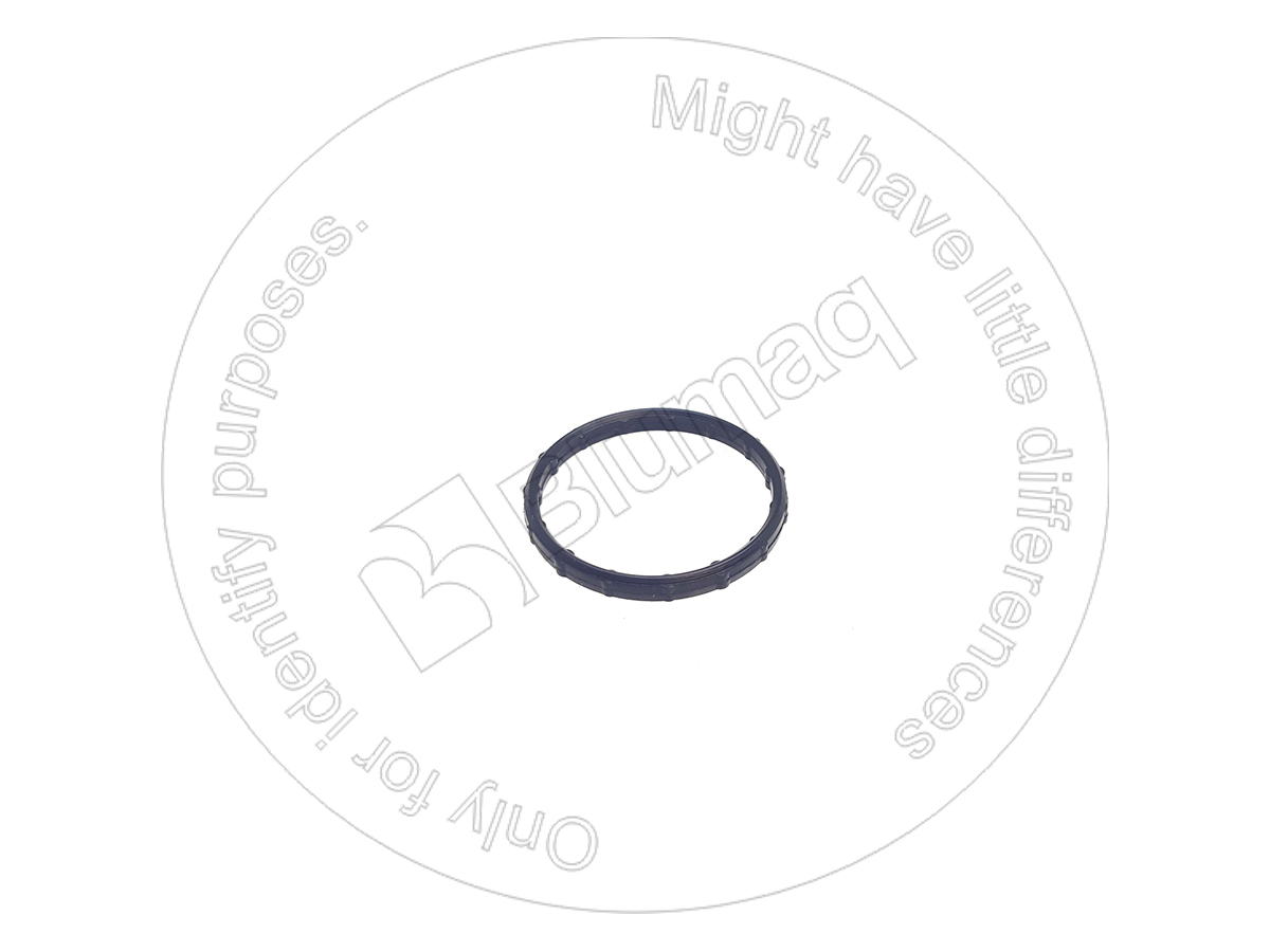 224-2675 Seal for BLUMAQ