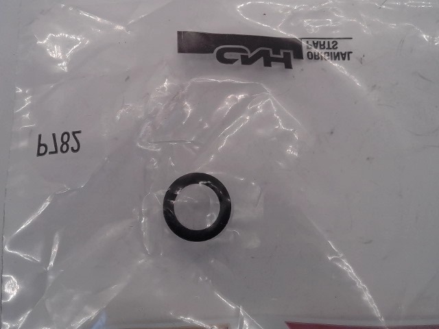 166023 O Ring for AGCO