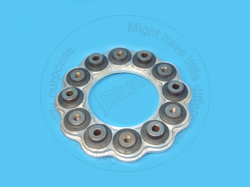394-9818 Plate