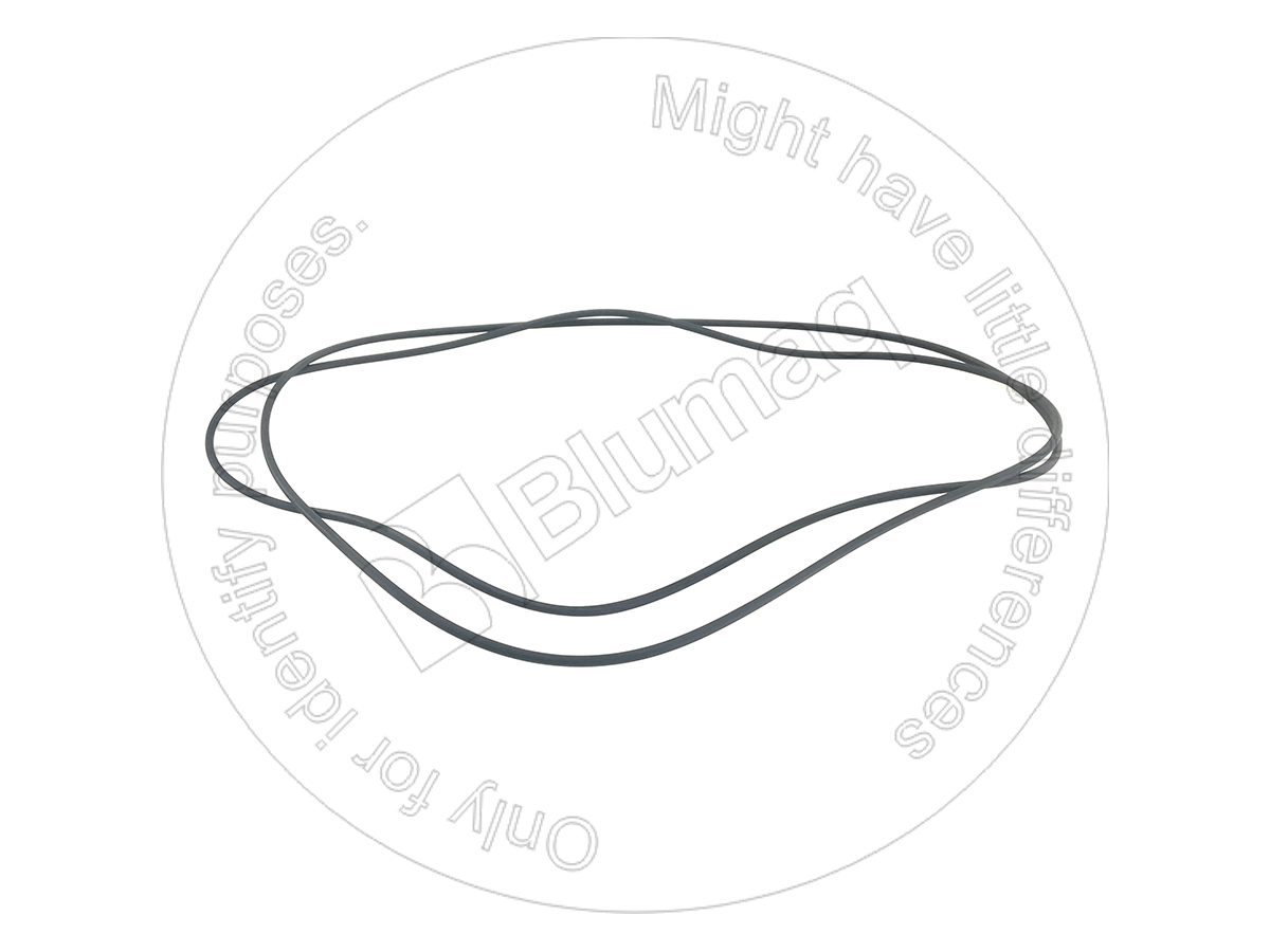 DG107945 Seal O-ring for BLUMAQ