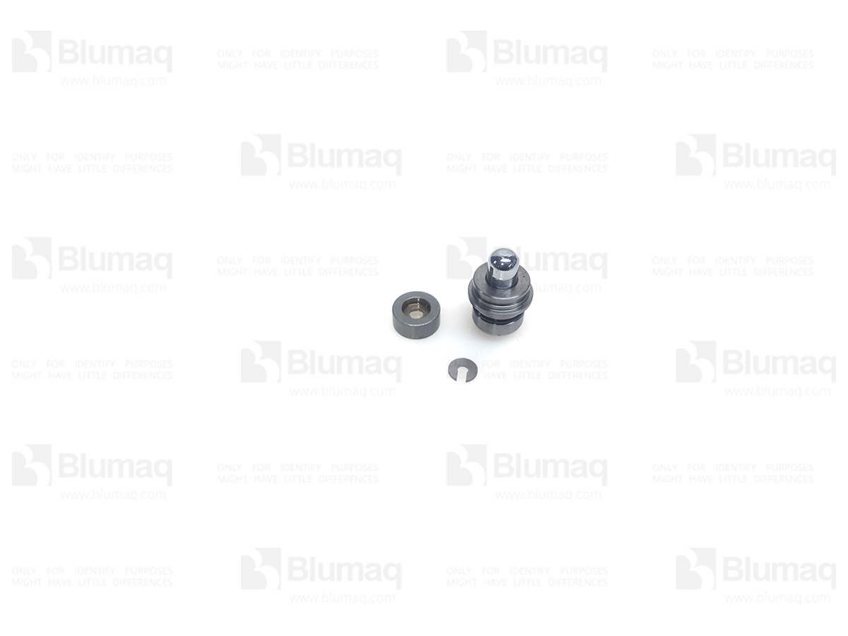 198-1076 Plunger for BLUMAQ
