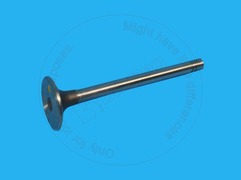 CU3000926 CUMMINS Intake Valve