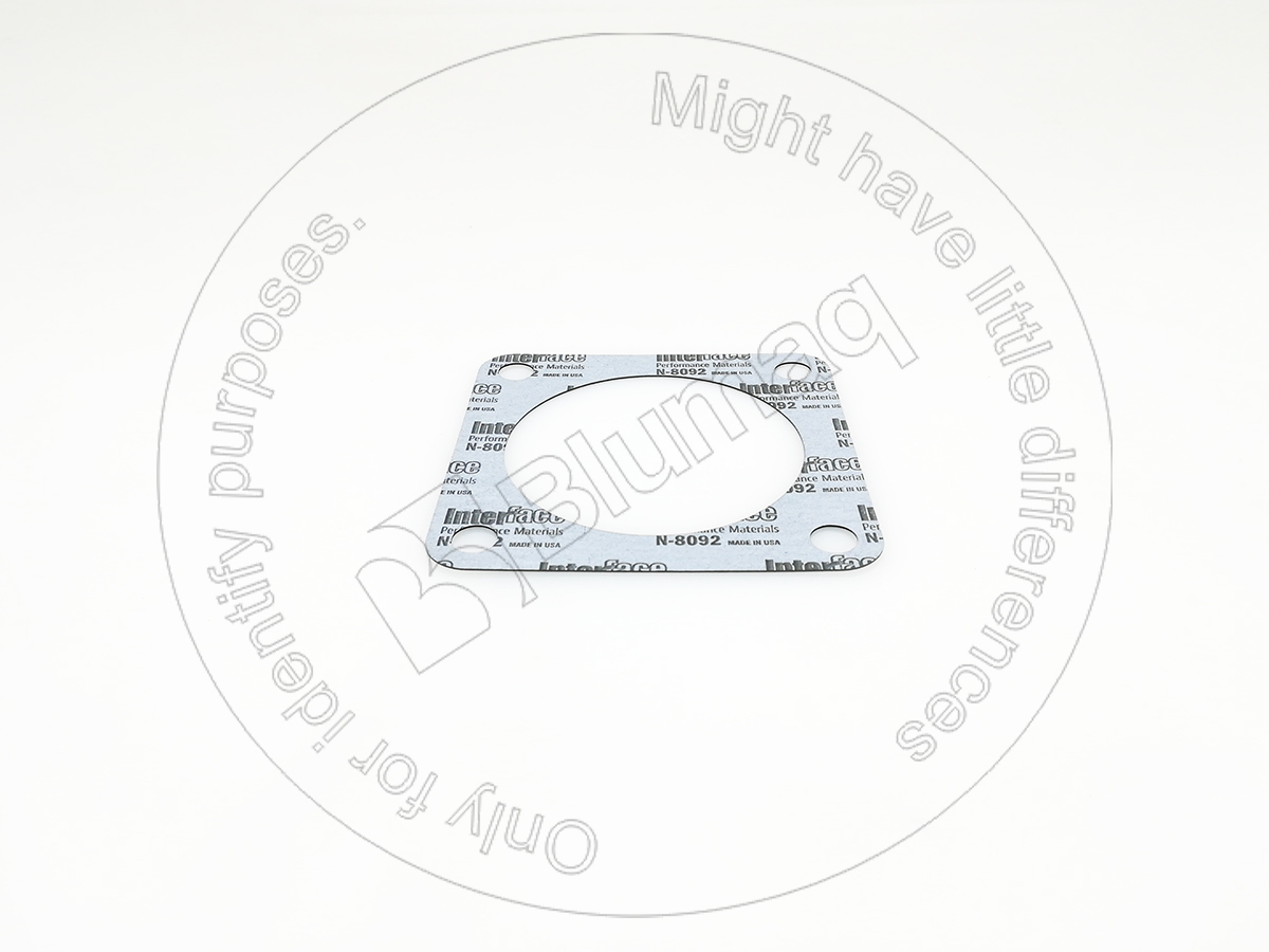 5H-4038 Paper Gasket