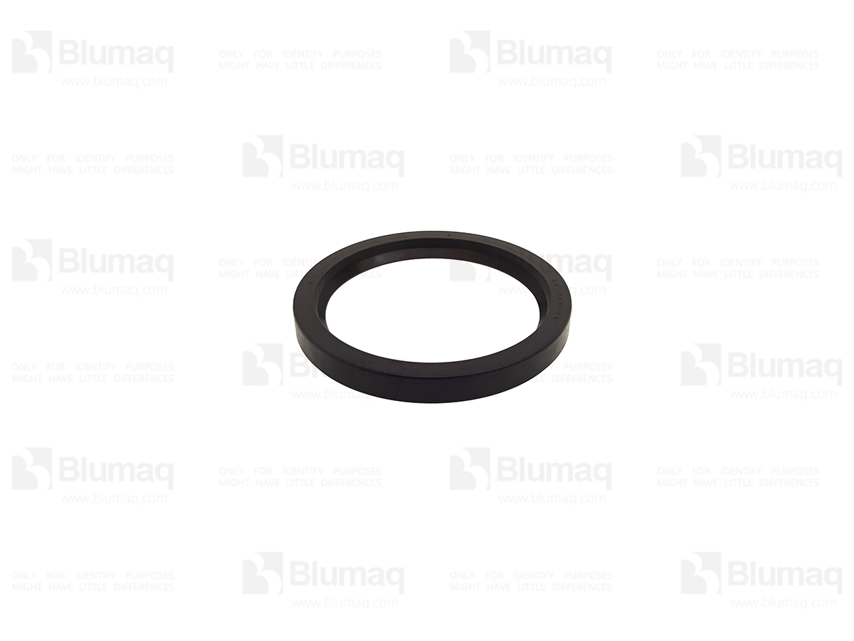 CS750298 Seal