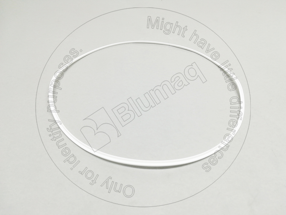 9G-0281 Segment for BLUMAQ