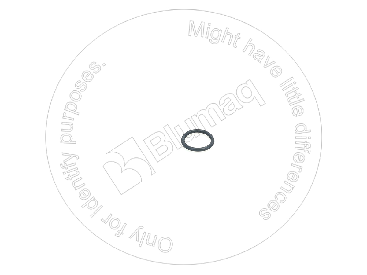 CS238-5214 Seal O-ring for BLUMAQ