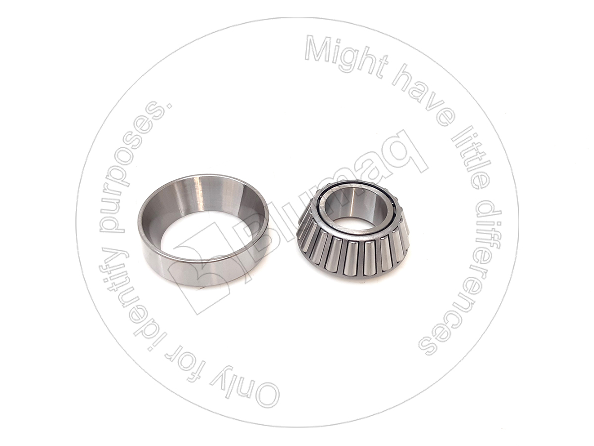 BGU-4141828 Tapered Bearing for BLUMAQ