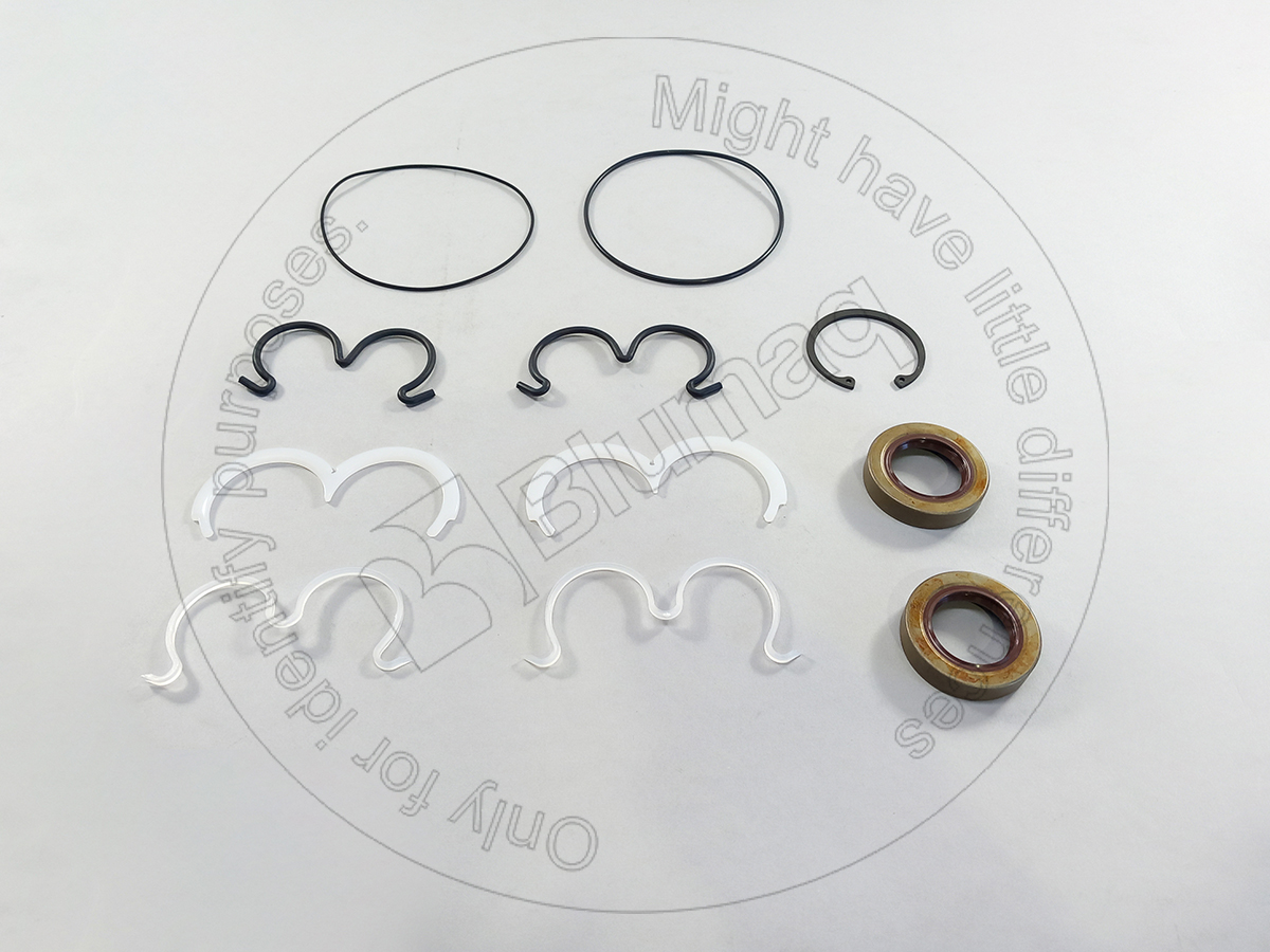 9J-0765 Seal Kit for BLUMAQ