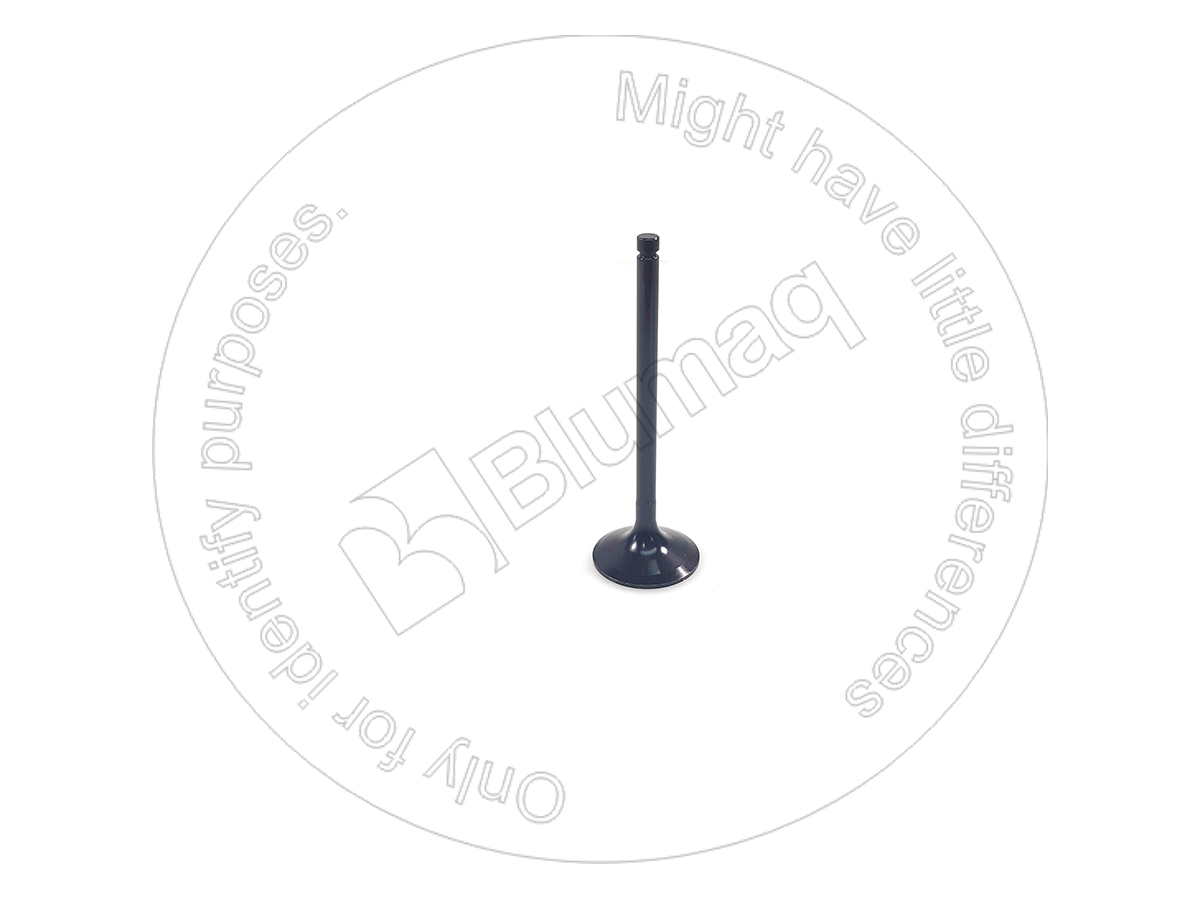 995122 Intake Valve