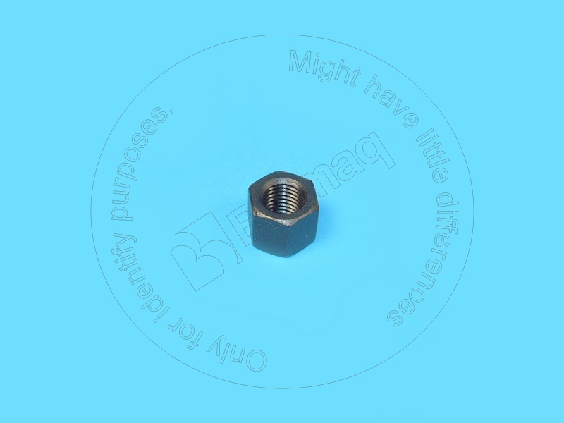425-22-12930 Nut for BLUMAQ