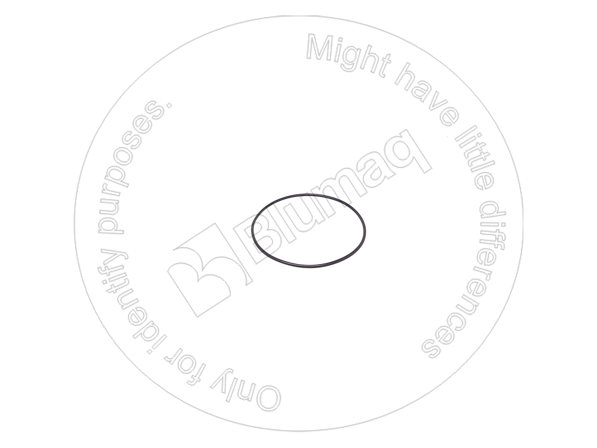 D50SL119 Seal O-ring for BLUMAQ