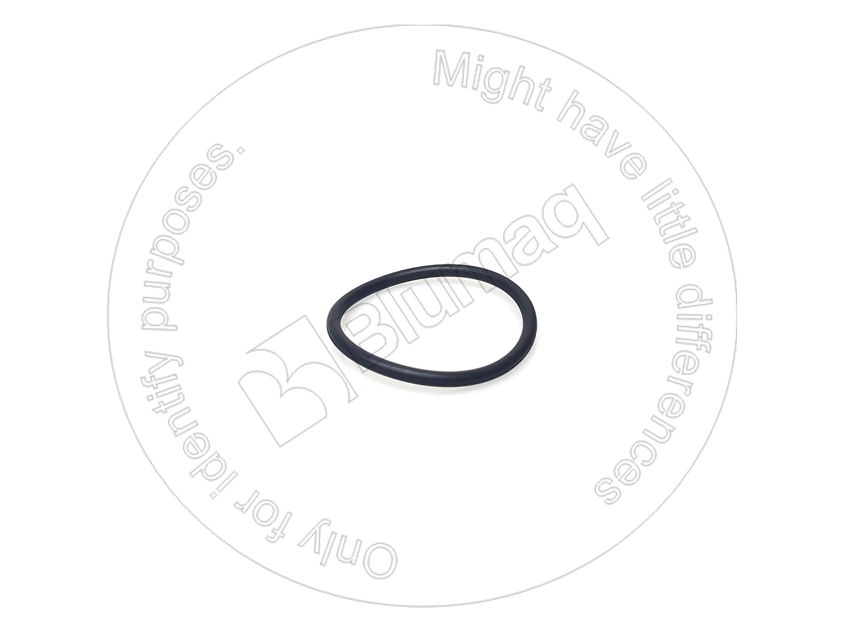 068352 Seal O-ring