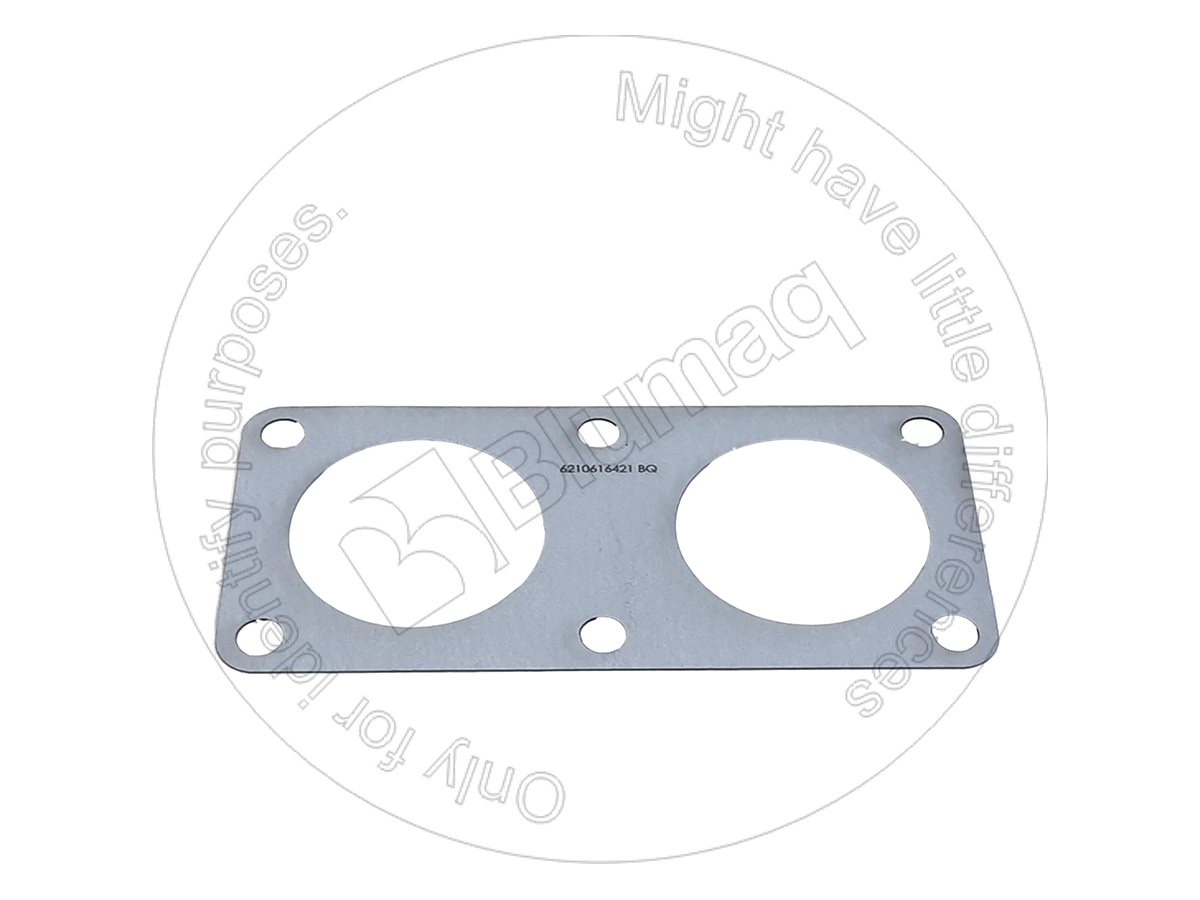 6210-61-6420 Gasket for BLUMAQ