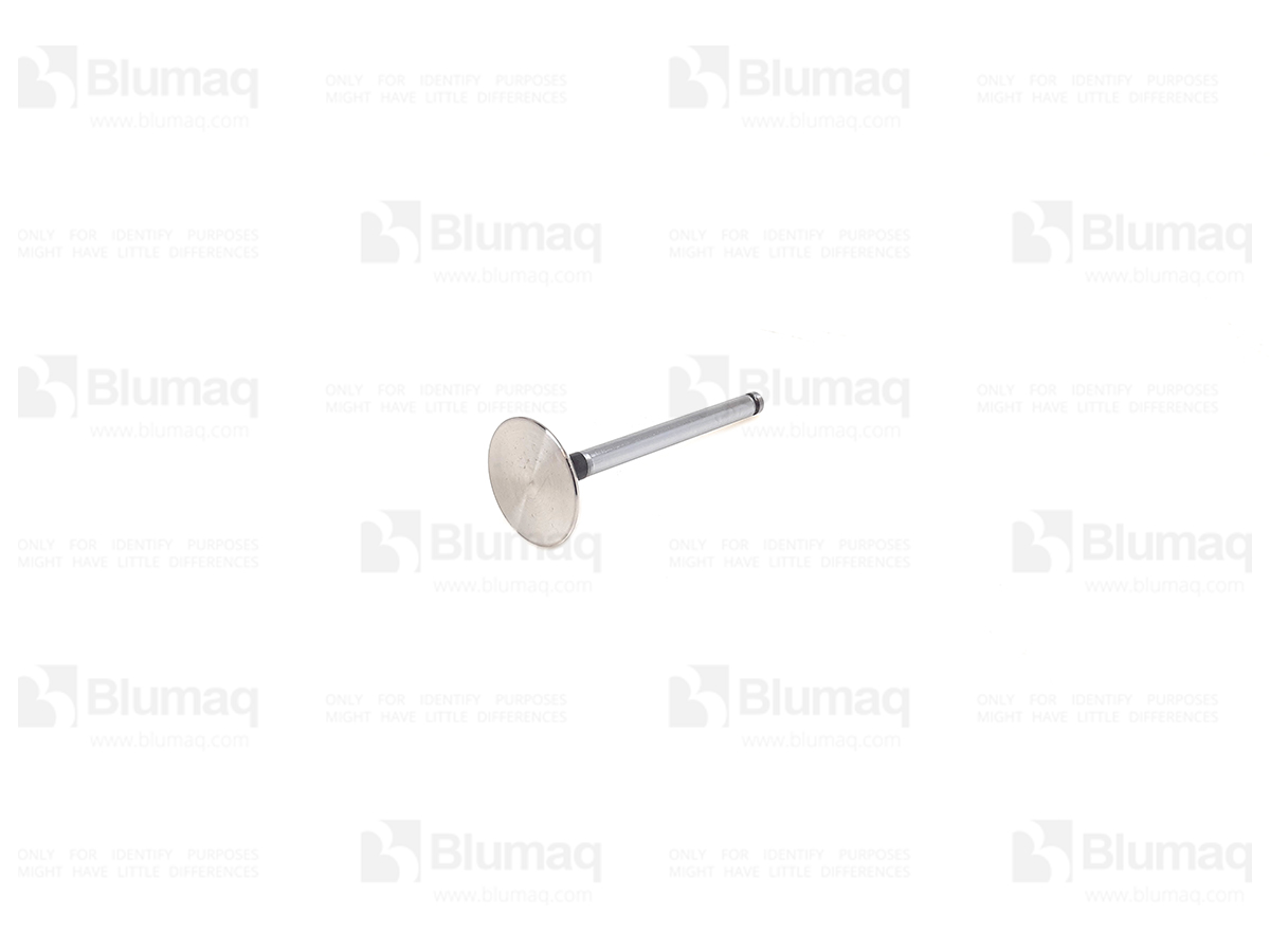 6I-1196 Intake Valve for CATERPILLAR