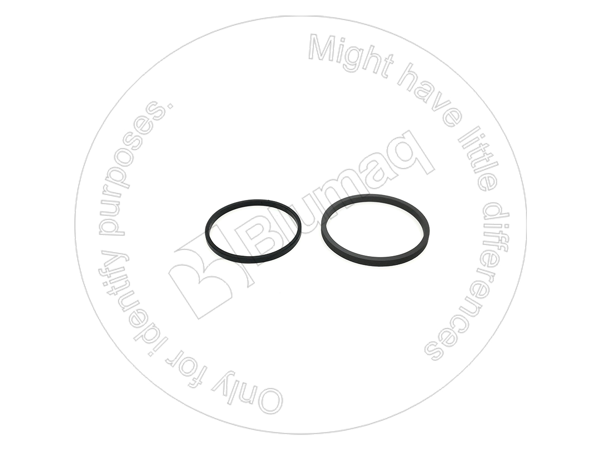 8J-6213 Piston Seal for BLUMAQ