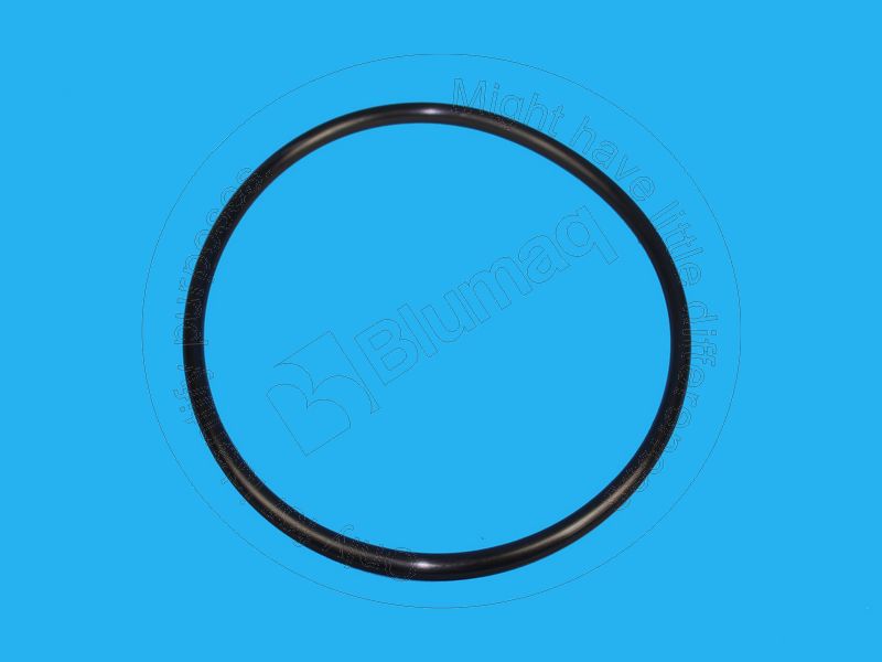 101-2154 Seal O-ring