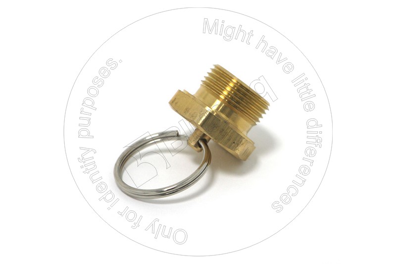 0481019001 Draining Valve for BLUMAQ