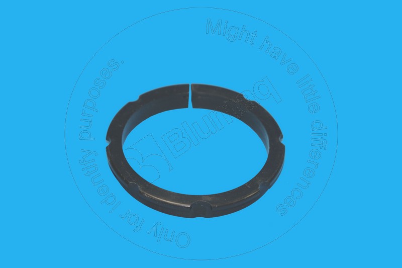 8N-1991 Ring for BLUMAQ