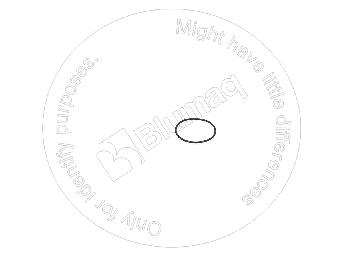 5D6543 Seal O Ring