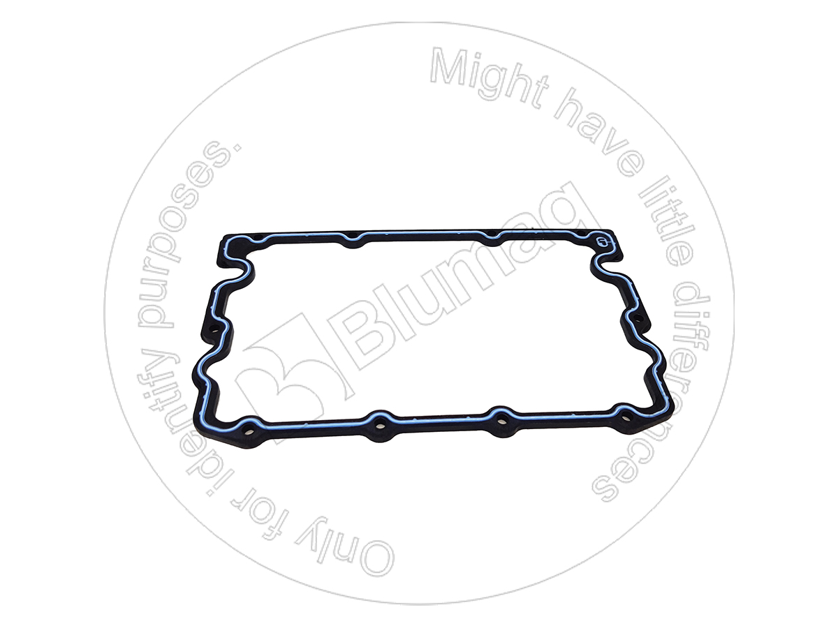 X53963-01 Gasket for BLUMAQ