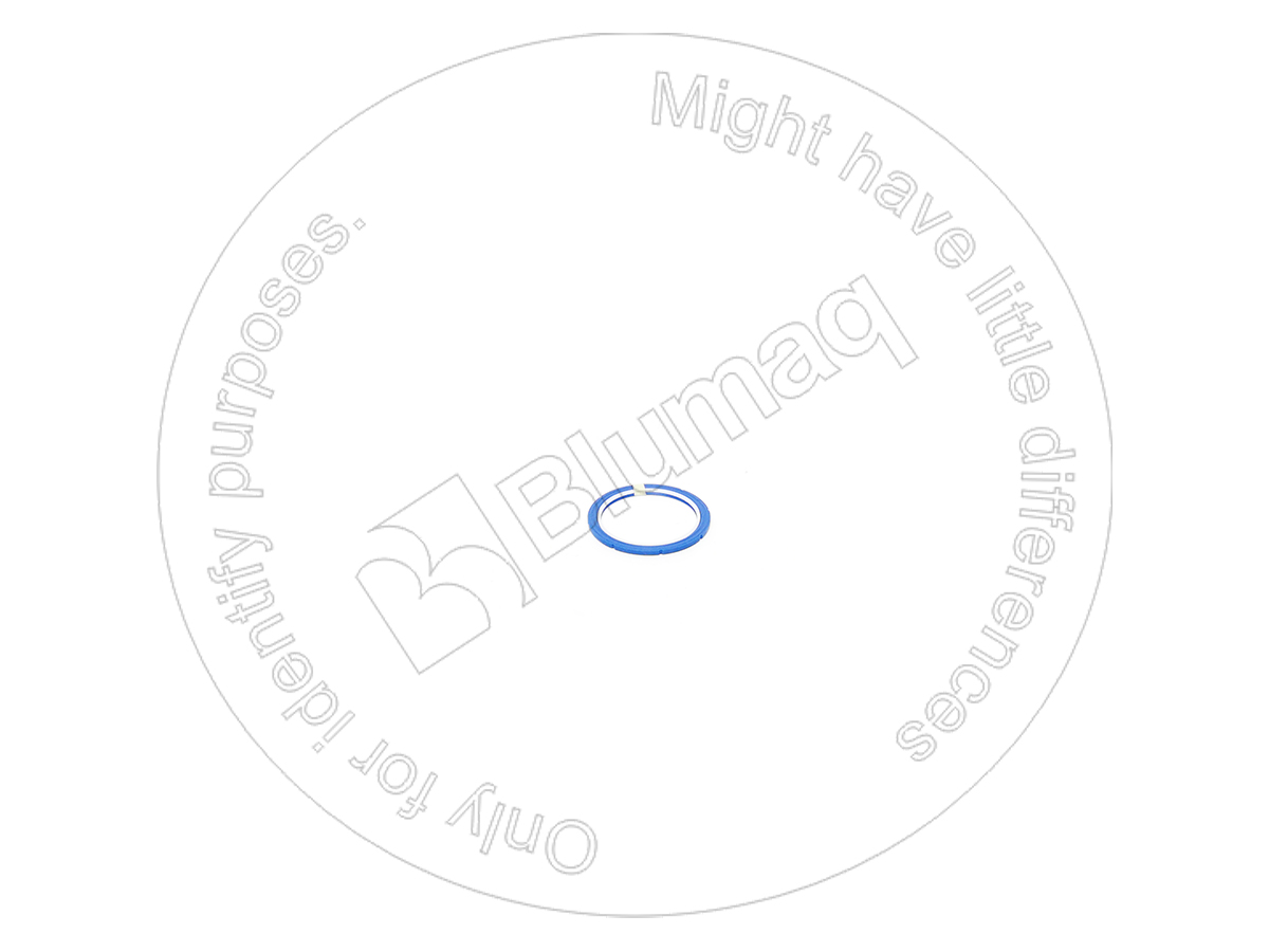 167-2183 Seal for BLUMAQ