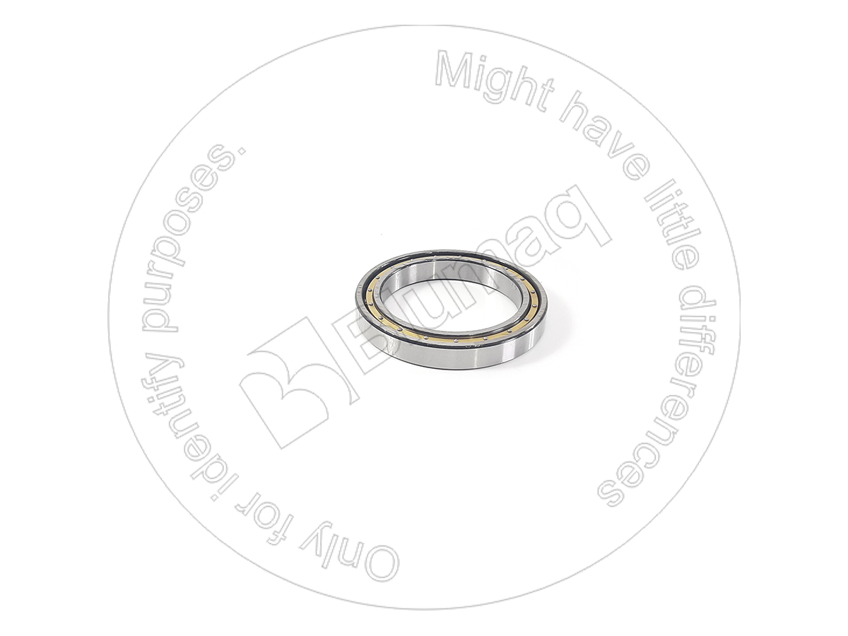 130-09-13760 Bearing for BLUMAQ