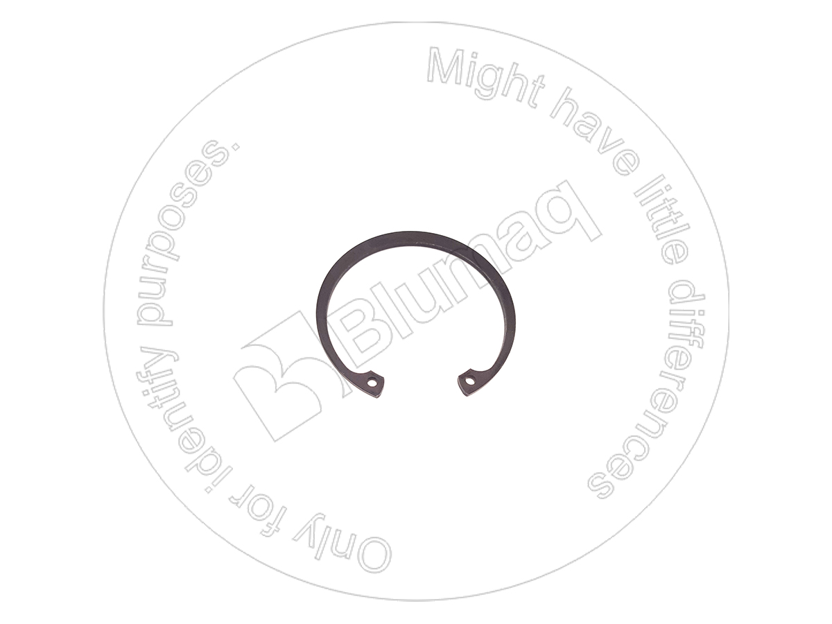 083-1906 Ring for BLUMAQ