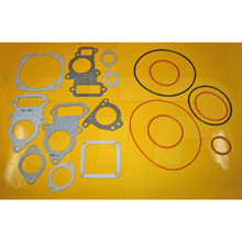 1282922 Gasket Kit-wp for CATERPILLAR