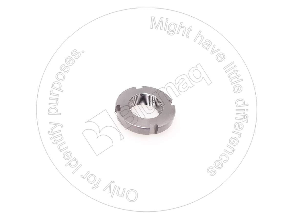 AN04 Nut for BLUMAQ