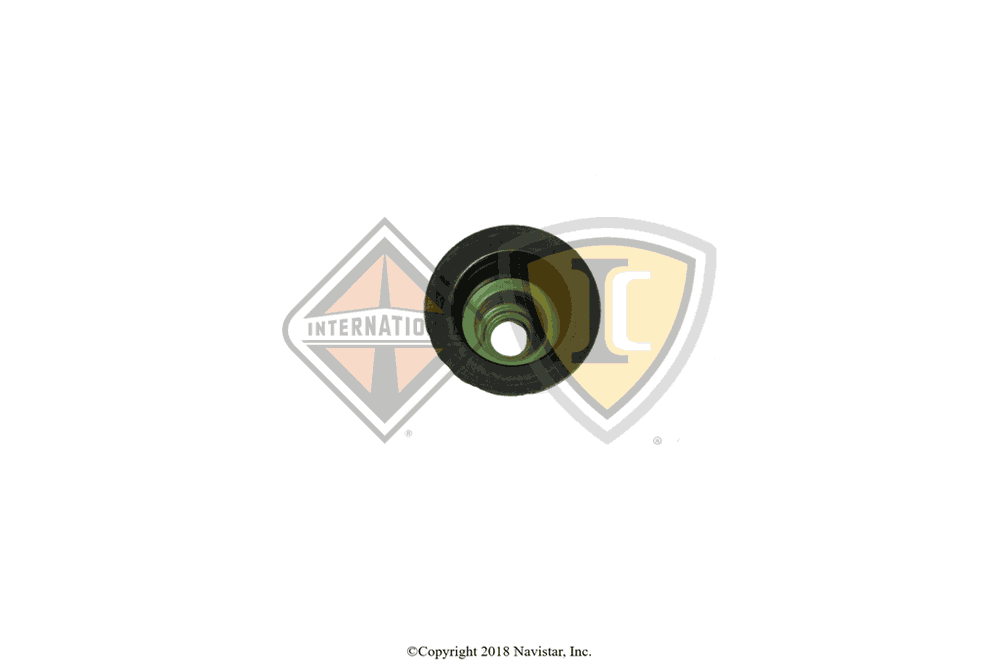 1823925C1 Seal for INTERNATIONAL TRUCK