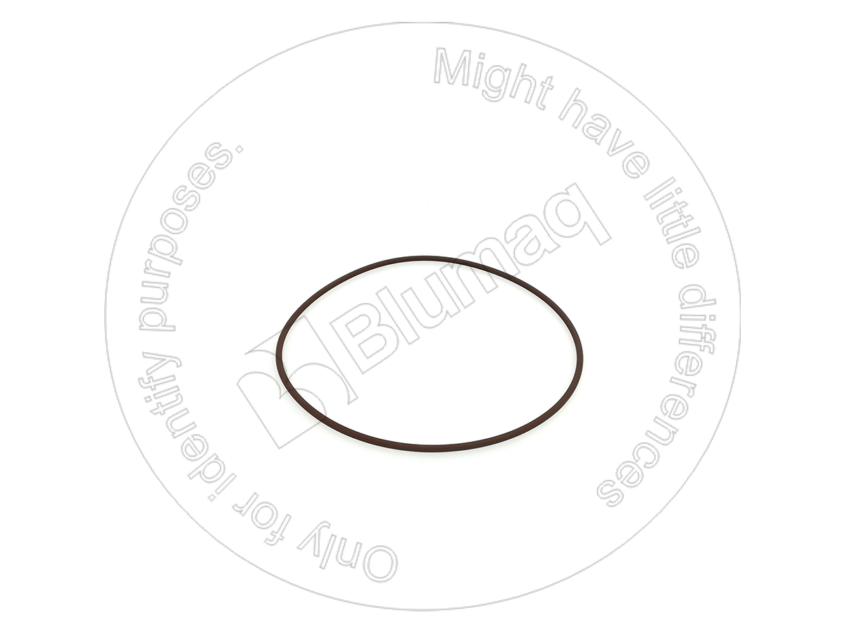 CSL13043 Seal O-ring