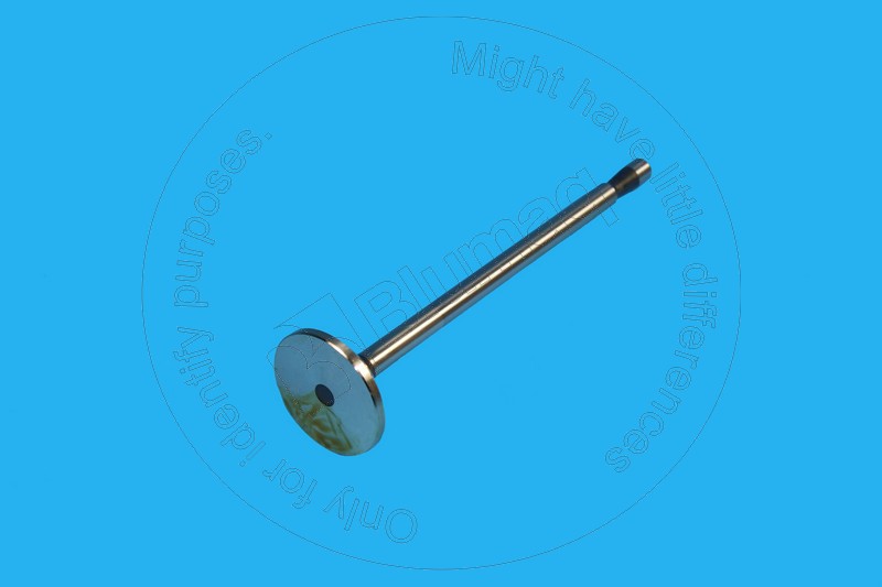 7F-5310 Intake Valve