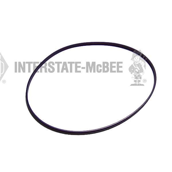 A-A0239975345 Ring - Seal - Cylinder Liner for INTERSTATE MCBEE
