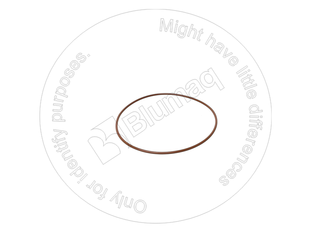 6V-5553 Seal O-ring for BLUMAQ