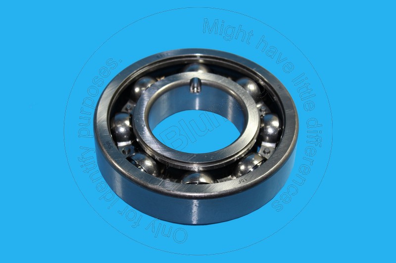523-5961 Bearing for BLUMAQ